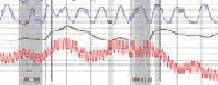 polygraph examination in Marin County